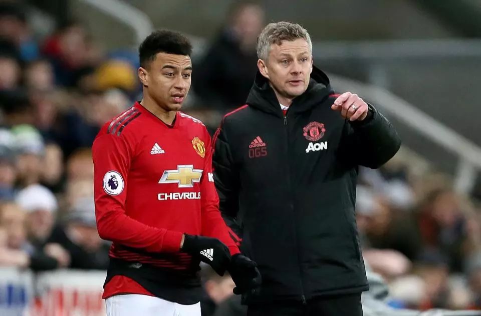 夏拉與哈里 夏拉與哈里